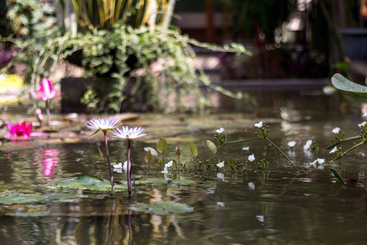 Hotel Hidden Padma Retreat Ubud Esterno foto